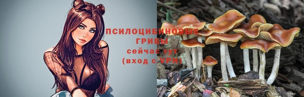 тгк Алзамай