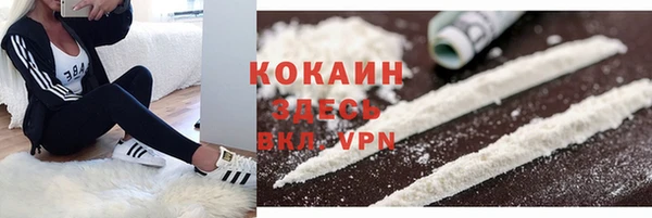 гашик Арсеньев