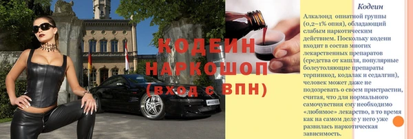 гашик Арсеньев